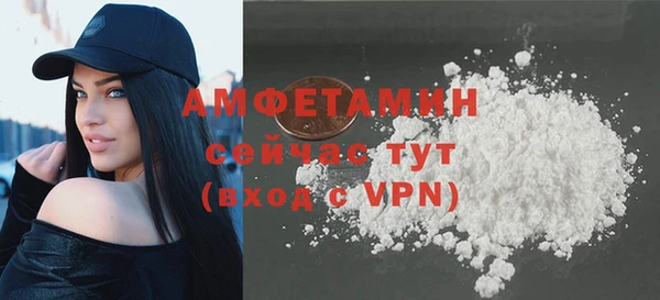 дживик Пересвет