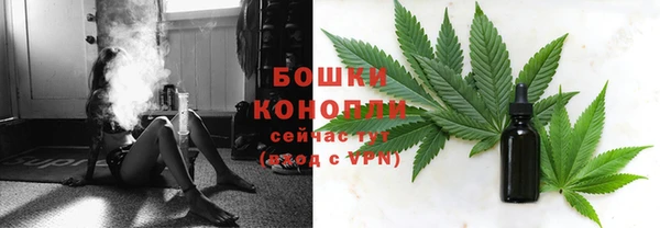 дживик Пересвет
