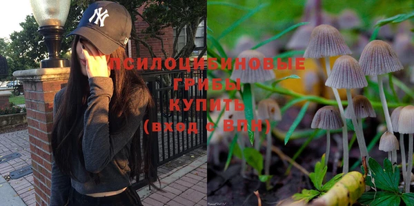 меф Переславль-Залесский
