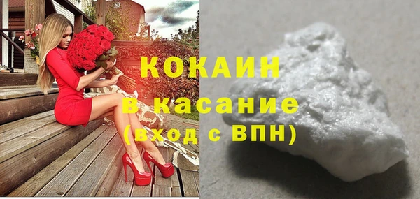 дживик Пересвет