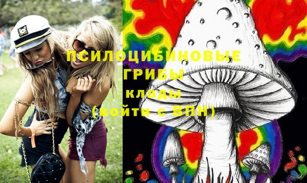 дживик Пересвет