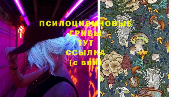 дживик Пересвет
